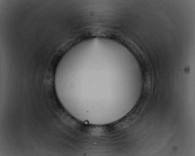 X0000101180513200807181451