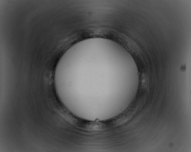 X0000101180514200807181451