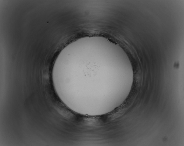 X0000101180516200807181451