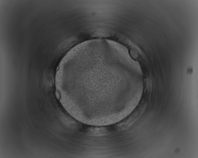 X0000101180517200807181451