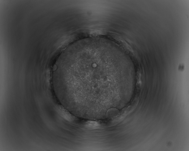 X0000101180519200807181451