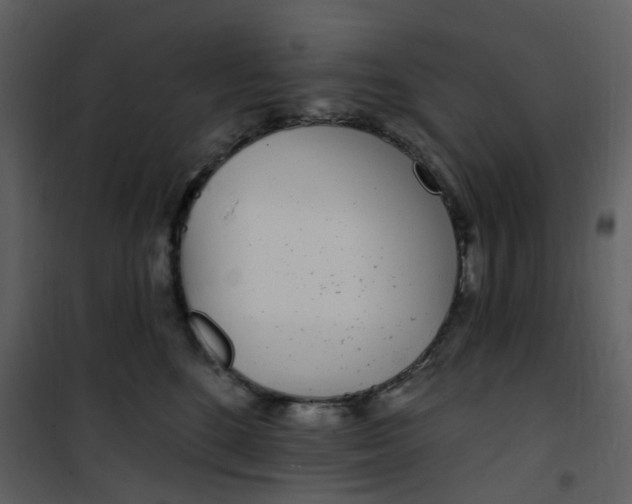 X0000101180520200807181451