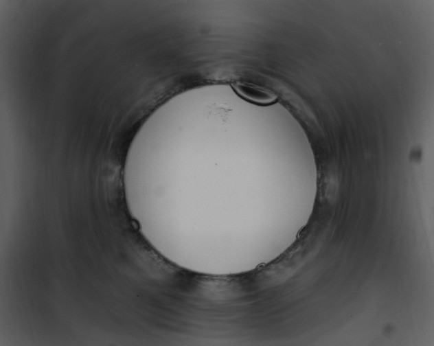 X0000101180521200807181451