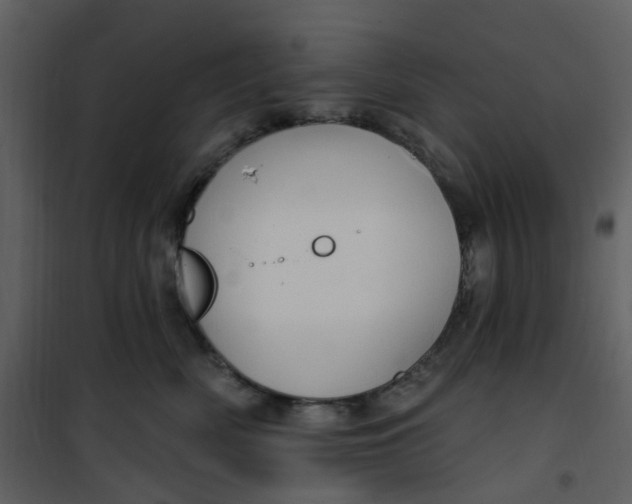 X0000101180522200807181451