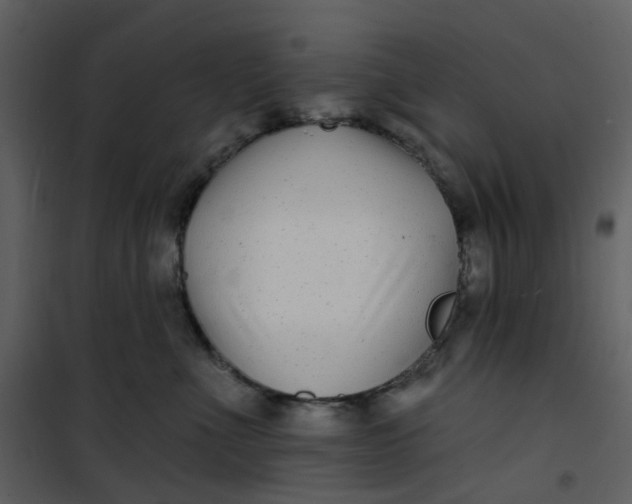 X0000101180523200807181451