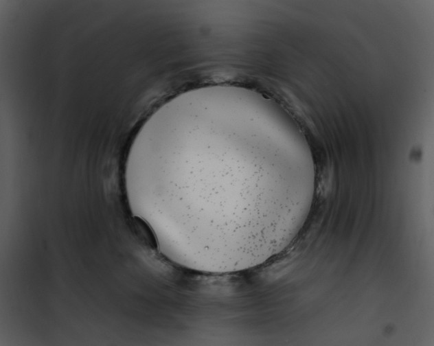 X0000101180524200807181451