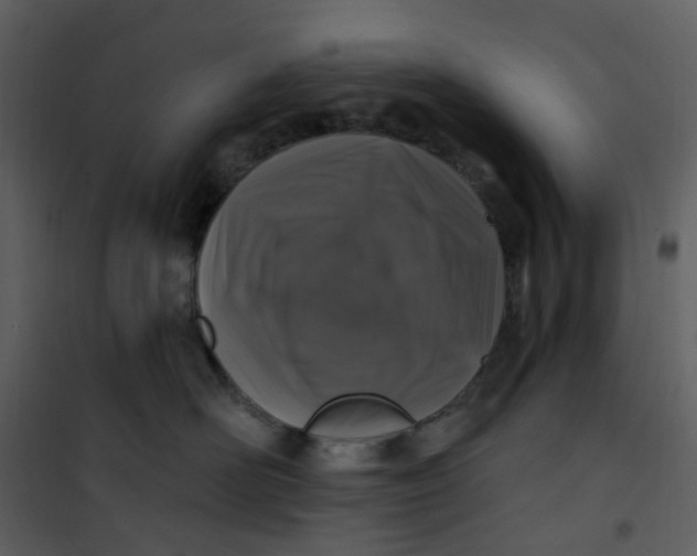 X0000101180526200807181451