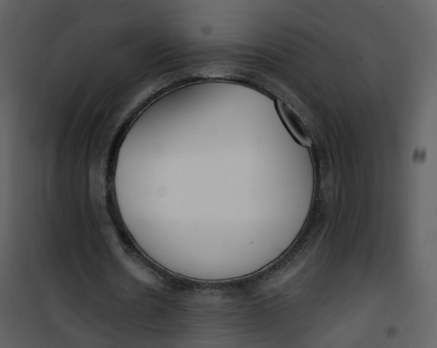 X0000101180530200807181450