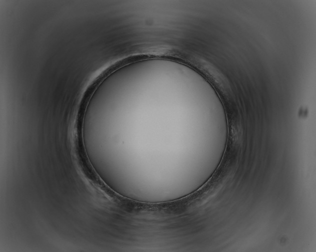 X0000101180532200807181450