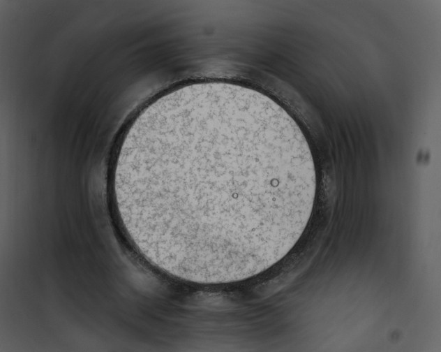 X0000101180534200807181450