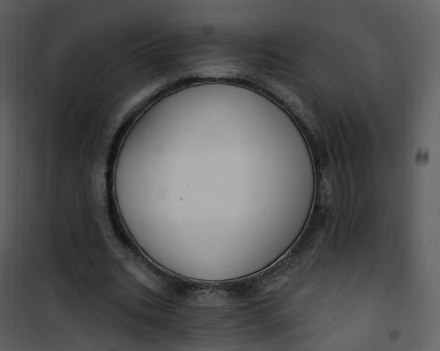 X0000101180535200807181450