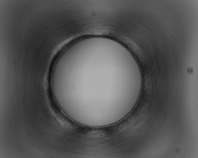 X0000101180536200807181450