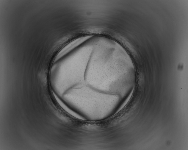 X0000101180537200807181450