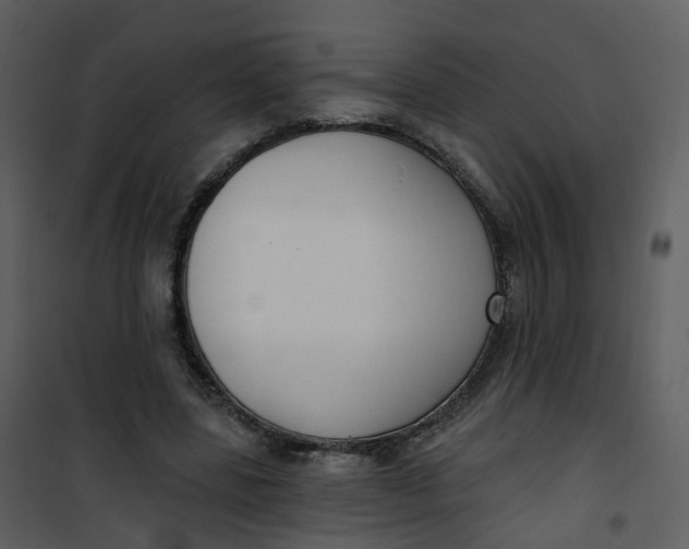 X0000101180539200807181450