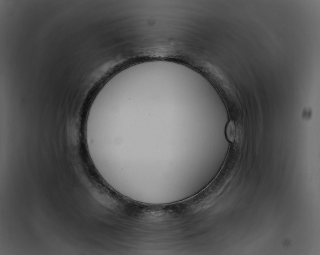 X0000101180540200807181450