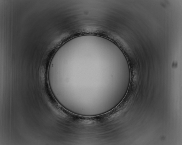 X0000101180542200807181450