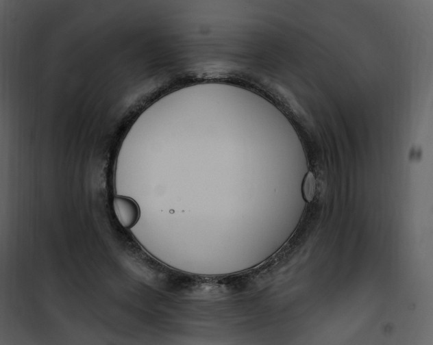 X0000101180543200807181450