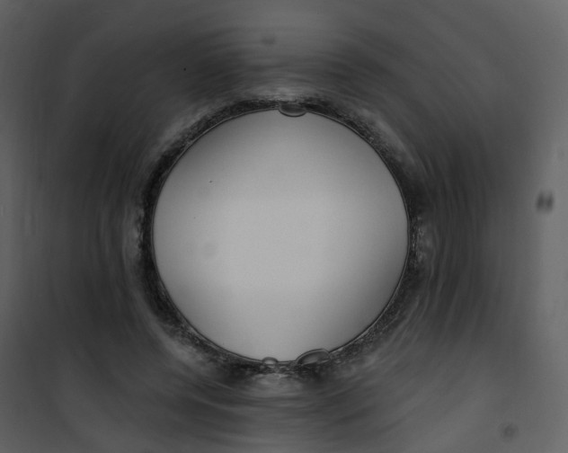 X0000101180544200807181450