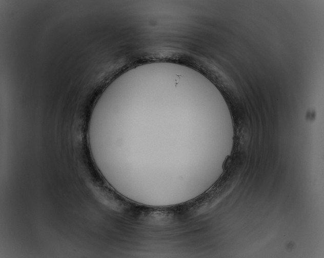 X0000101180546200807181450