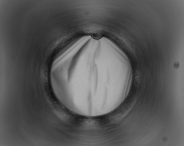 X0000101180547200807181450