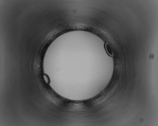 X0000101180548200807181450