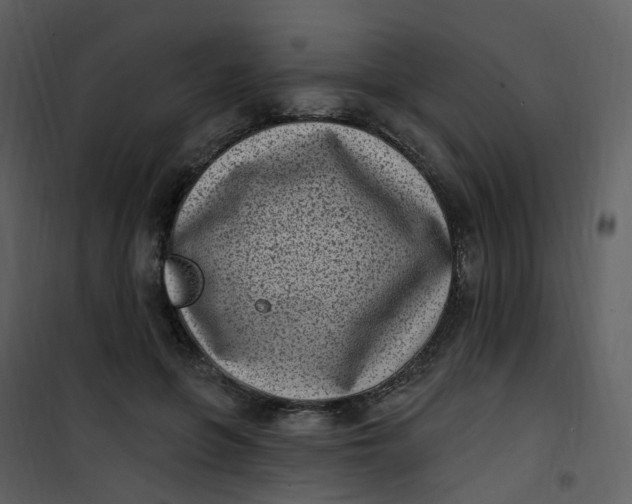 X0000101180551200807181450