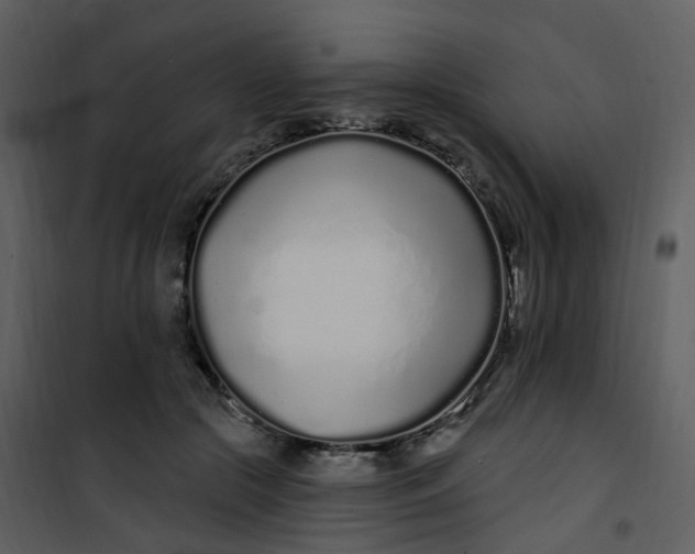 X0000101180553200807181450