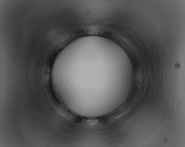 X0000101180554200807181450