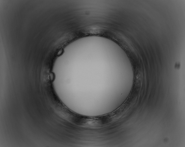 X0000101180555200807181450