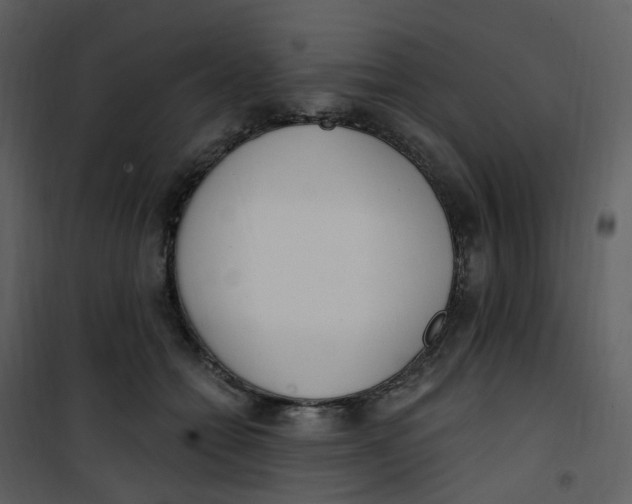 X0000101180558200807181450