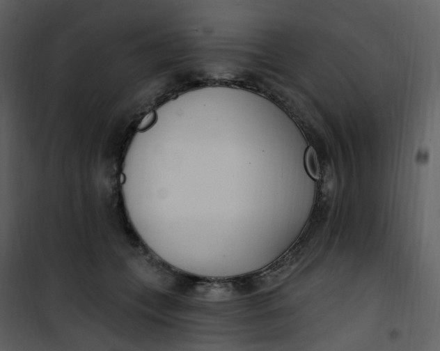 X0000101180559200807181450