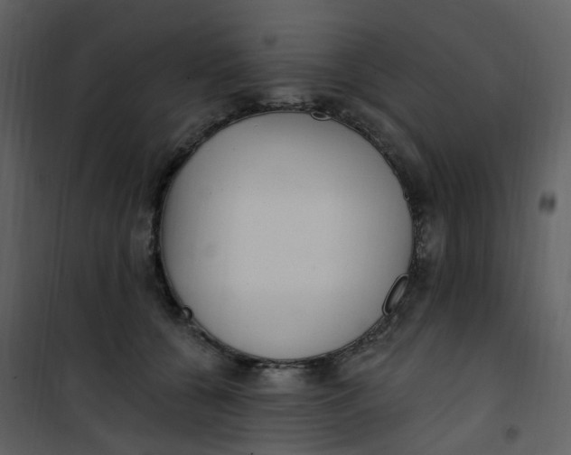 X0000101180560200807181450