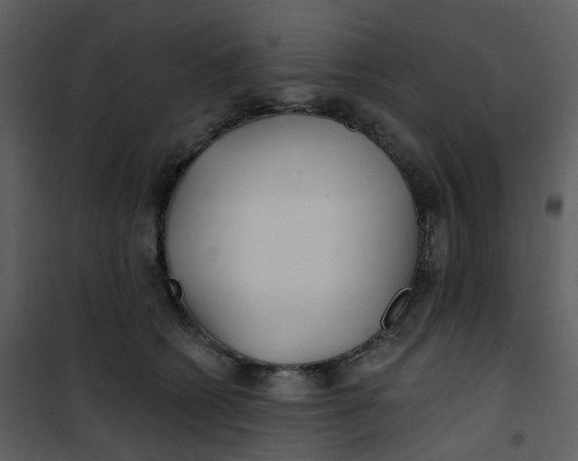 X0000101180562200807181450