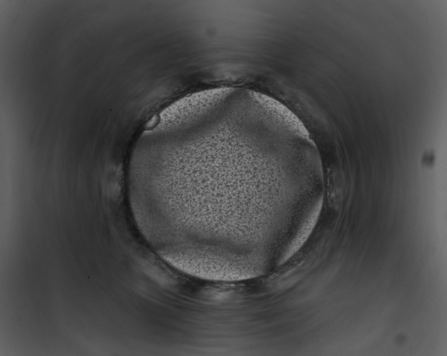 X0000101180563200807181450