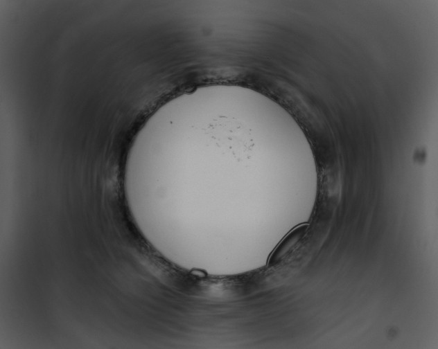 X0000101180564200807181450