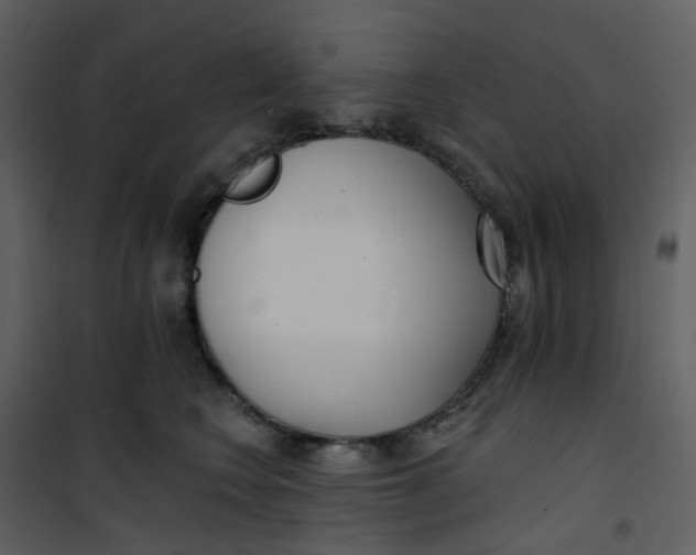 X0000101180566200807181451