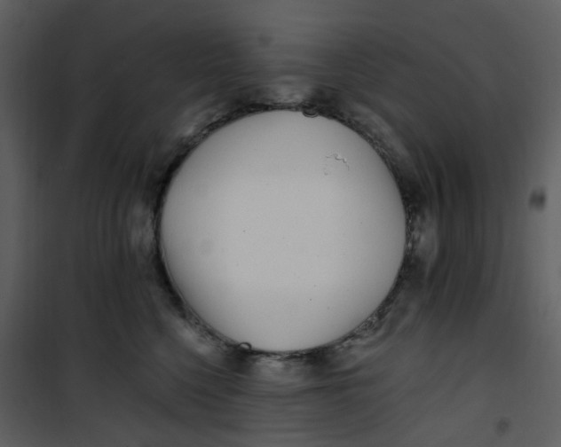 X0000101180568200807181451