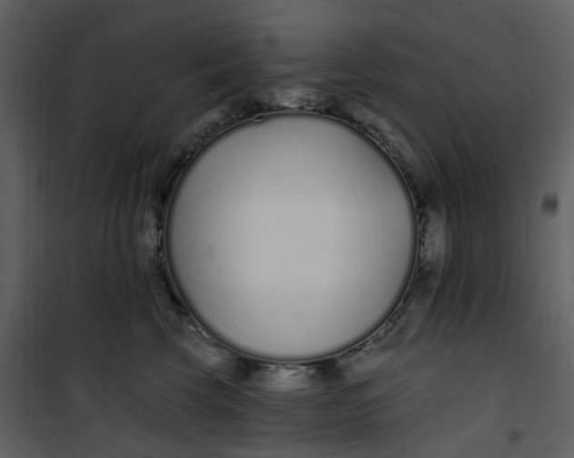 X0000101180569200807181451