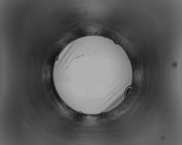 X0000101180570200807181451