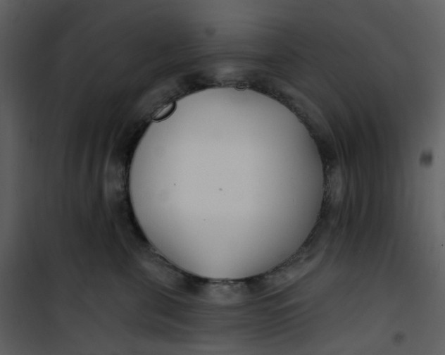 X0000101180571200807181451