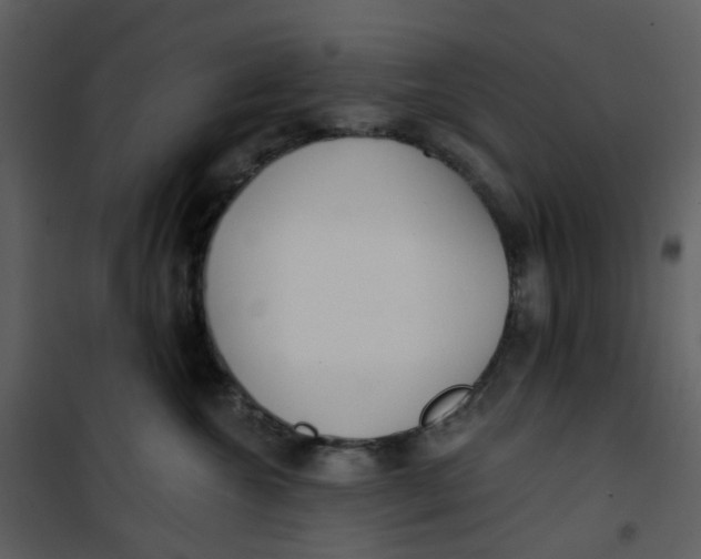 X0000101180572200807181451