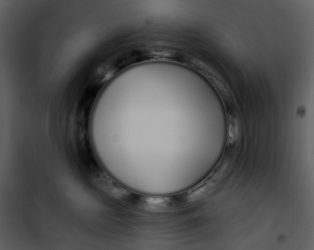 X0000101180573200807181451