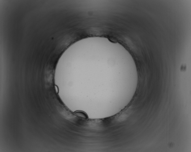 X0000101180576200807181451