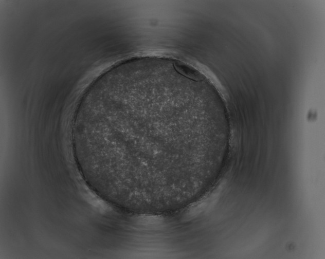 X0000101180577200807181450