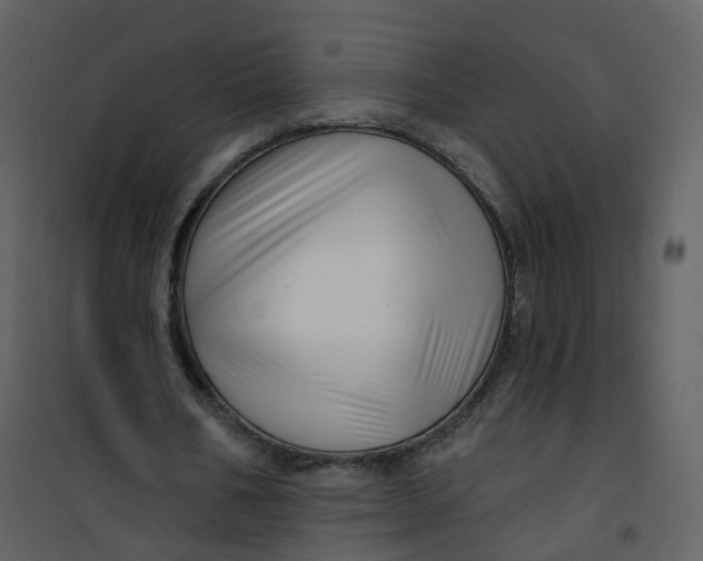 X0000101180578200807181450