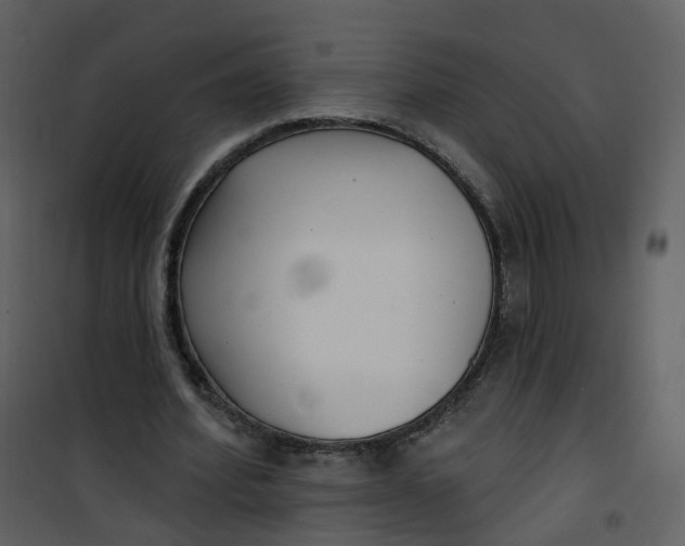 X0000101180580200807181450