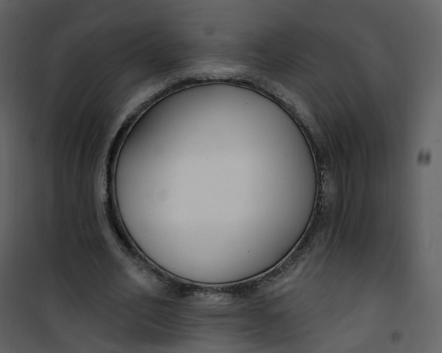 X0000101180582200807181450