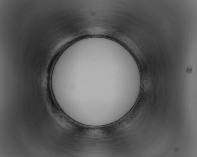 X0000101180583200807181450