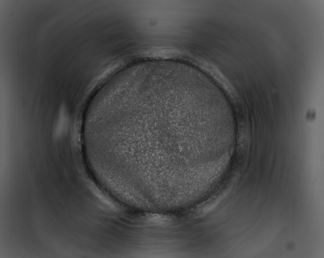 X0000101180585200807181450