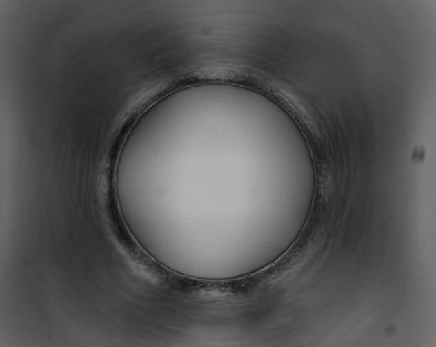 X0000101180586200807181450